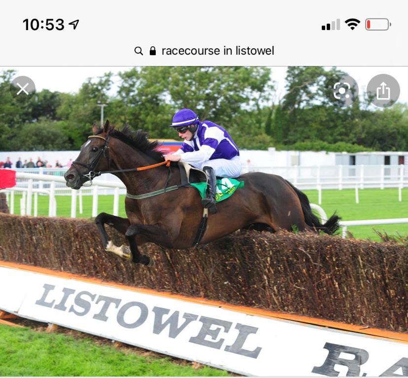 Racecourse View Hotel Listowel ภายนอก รูปภาพ